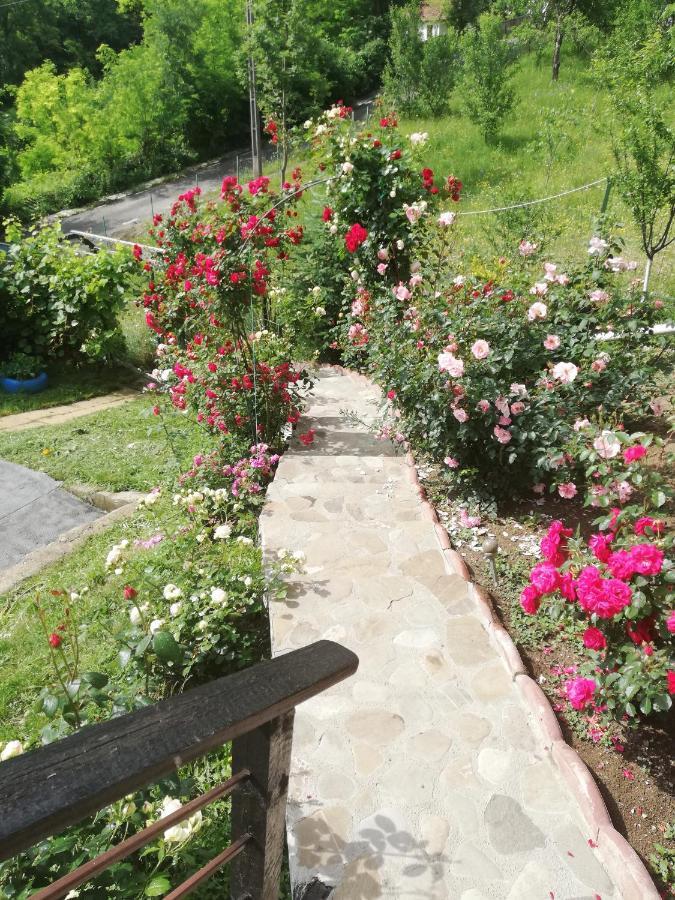 Casuta Cu Trandafiri Hotel Slănic Eksteriør billede