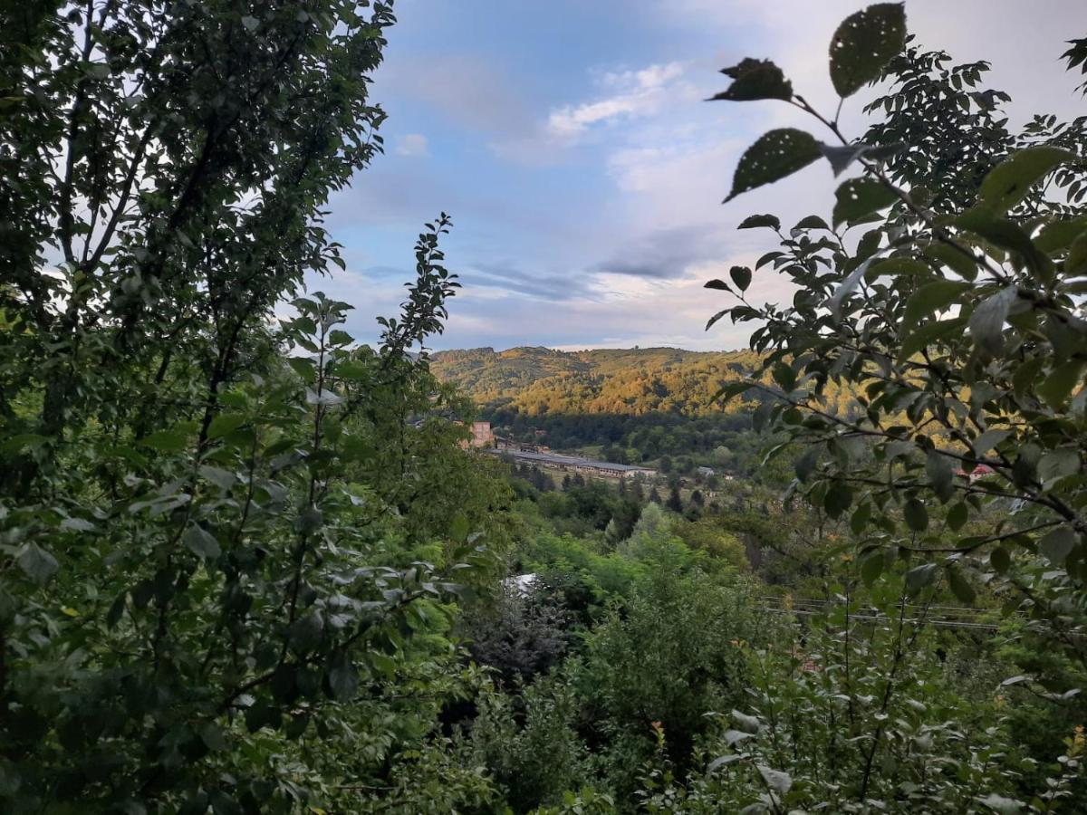 Casuta Cu Trandafiri Hotel Slănic Eksteriør billede