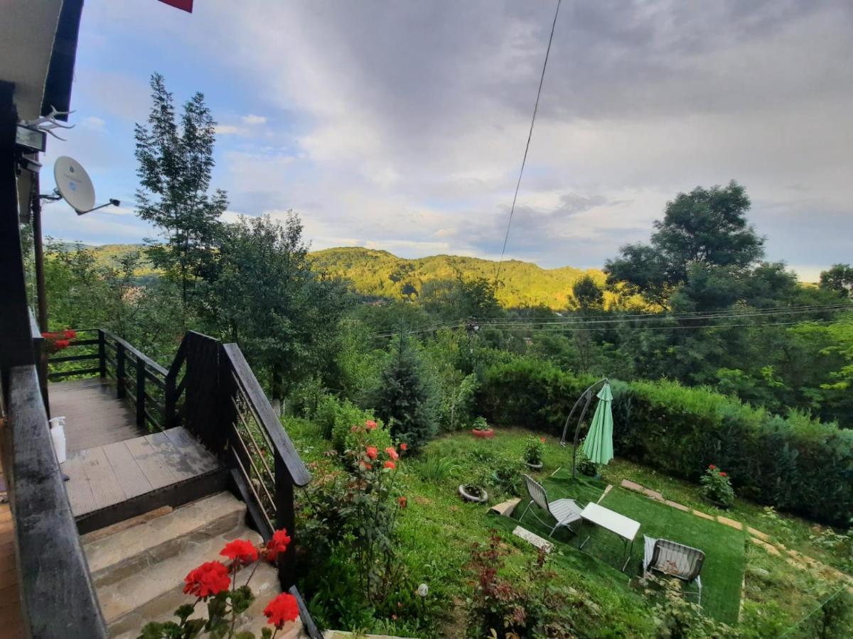 Casuta Cu Trandafiri Hotel Slănic Eksteriør billede