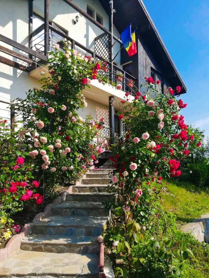 Casuta Cu Trandafiri Hotel Slănic Eksteriør billede