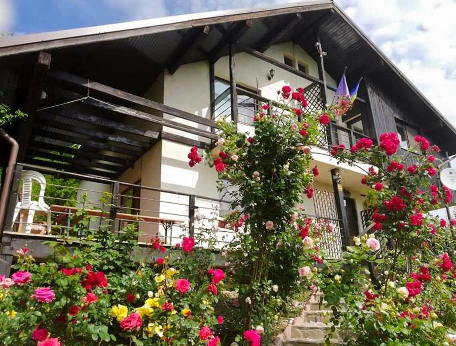 Casuta Cu Trandafiri Hotel Slănic Eksteriør billede