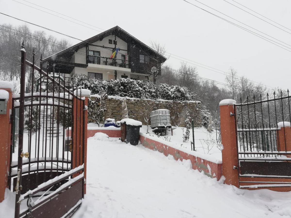 Casuta Cu Trandafiri Hotel Slănic Eksteriør billede